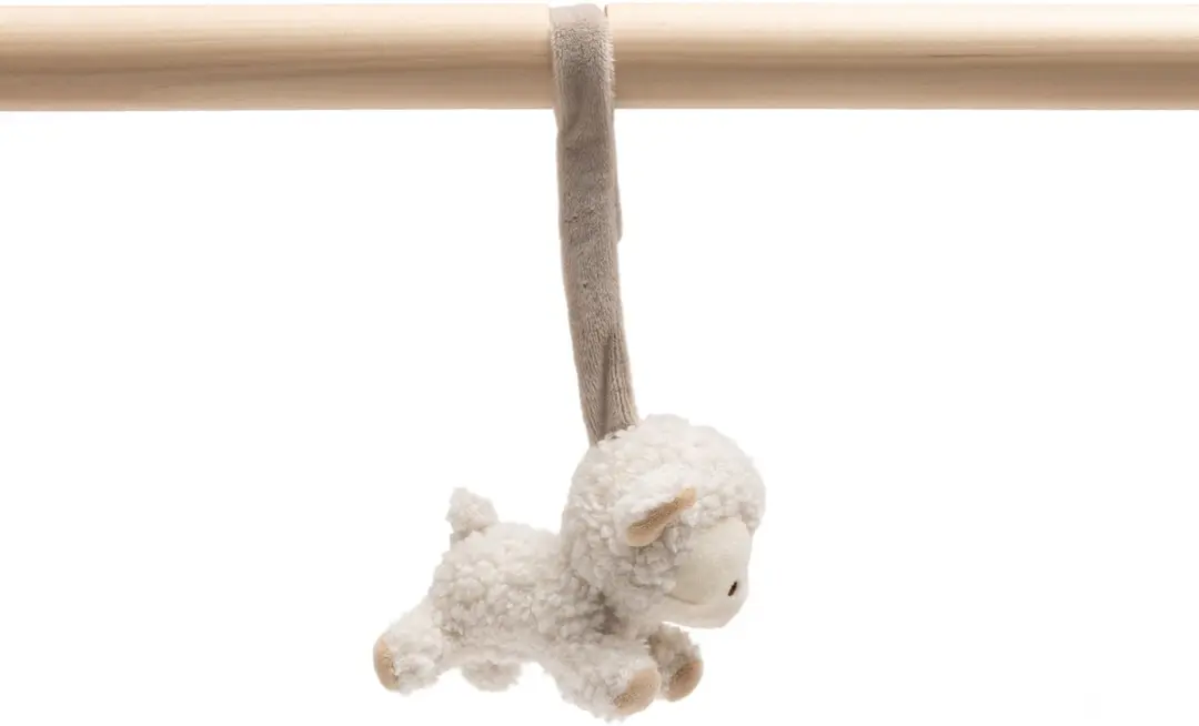 Jollein Babygym Woolly - Multicolor