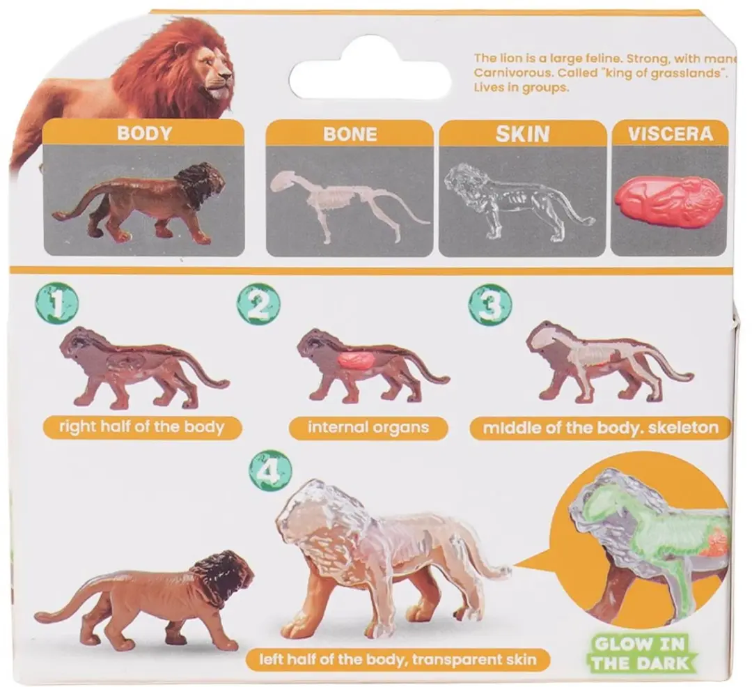 PIA Soft Toys Wilde Dieren 3D Anatomie Glow-in-the-Dark Speelfiguren - 24 Stuks