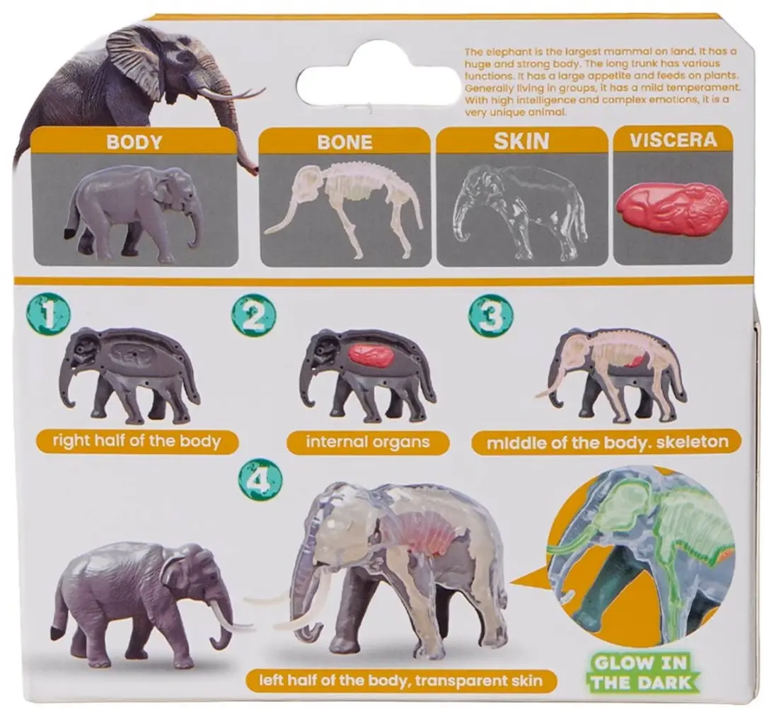 PIA Soft Toys Wilde Dieren 3D Anatomie Glow-in-the-Dark Speelfiguren - 24 Stuks