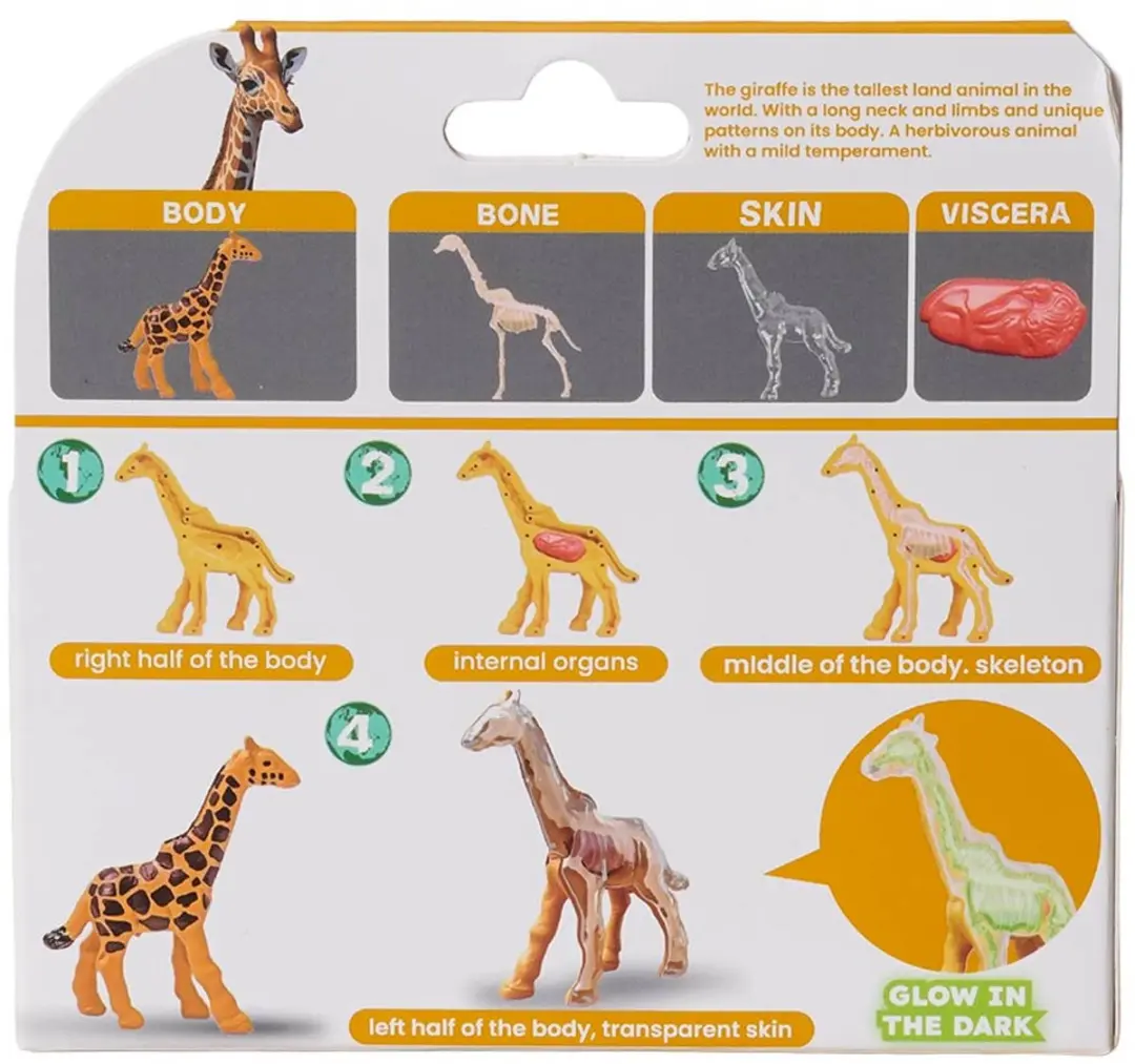 PIA Soft Toys Wilde Dieren 3D Anatomie Glow-in-the-Dark Speelfiguren - 24 Stuks - afbeelding 6 van 6