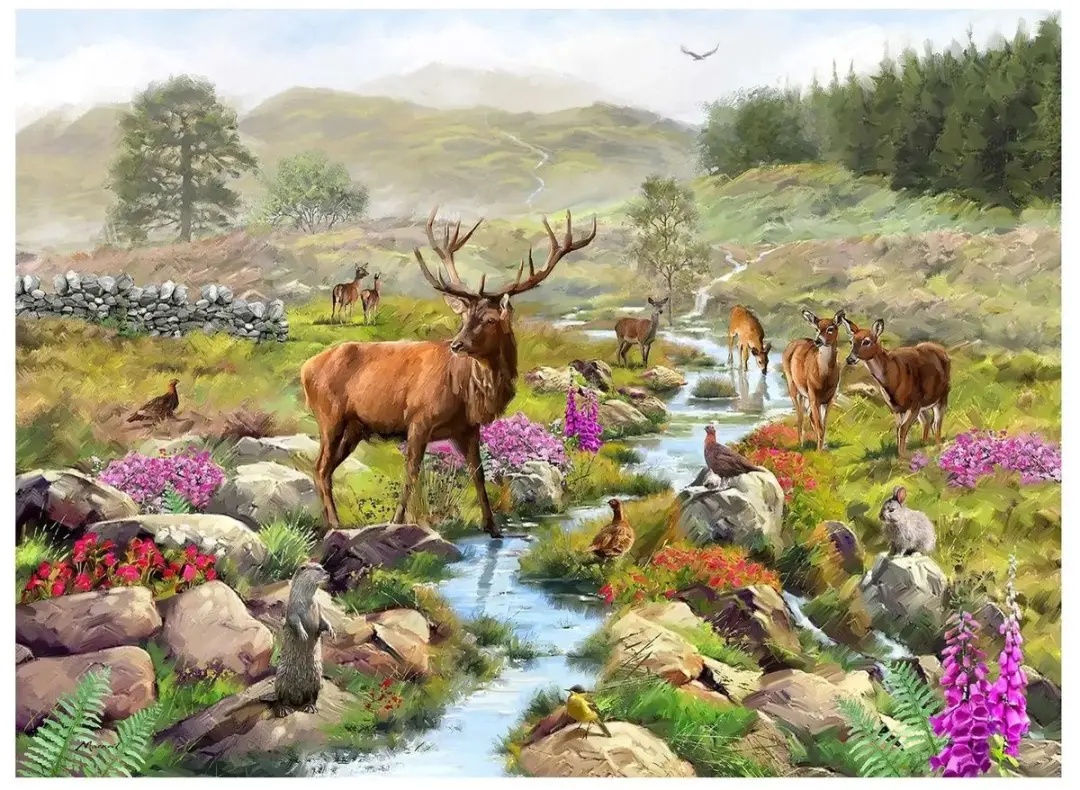 House Of Puzzles Highland Majesty Legpuzzel 1000 Stuks - HP0829