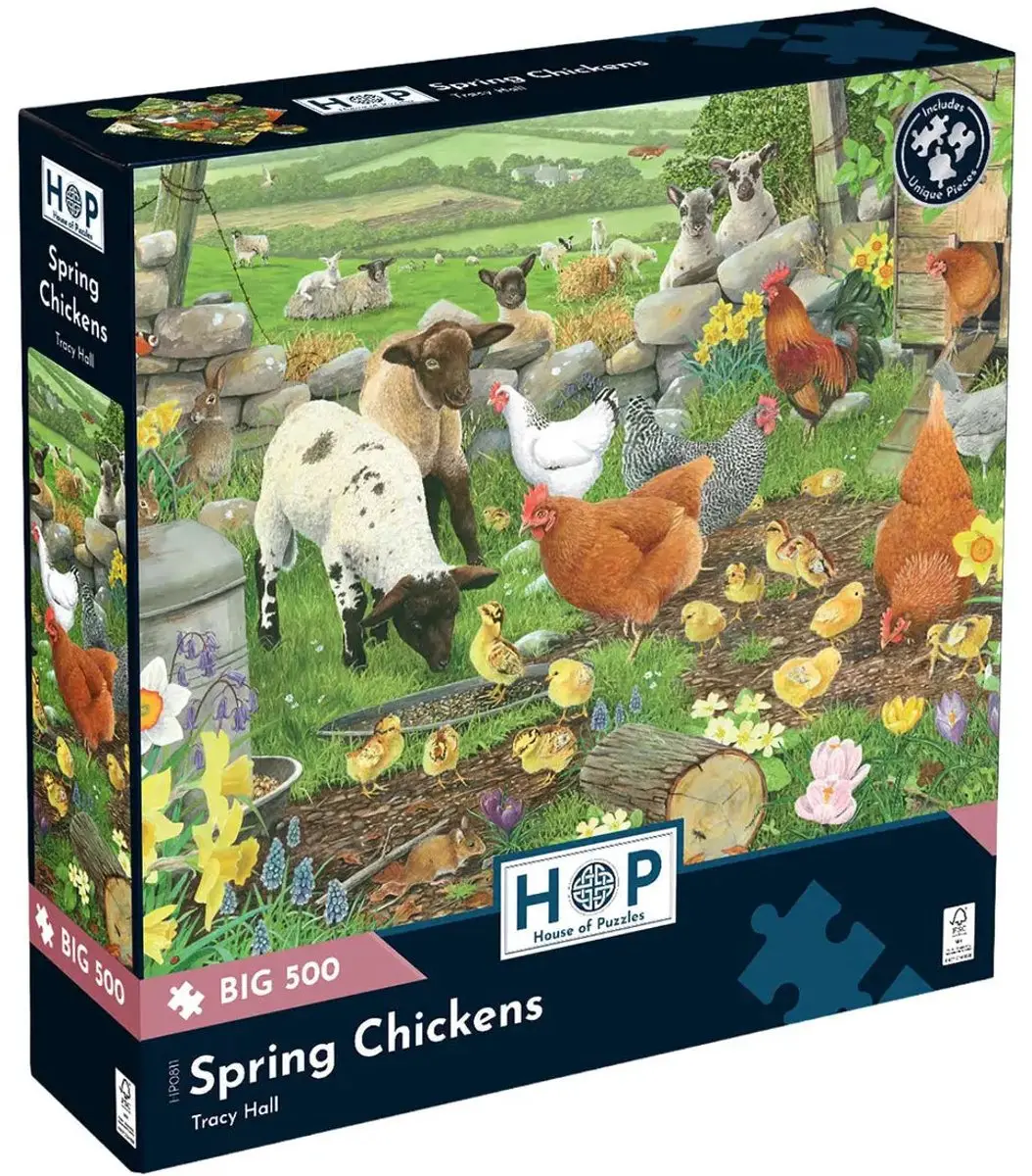 House of Puzzles Legpuzzel 500 XL