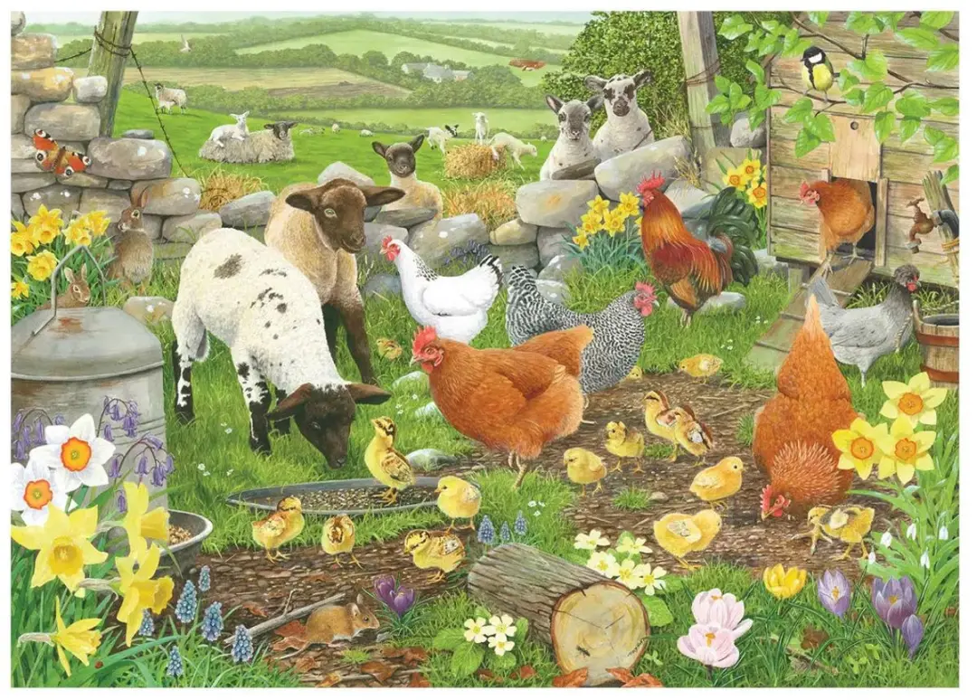 House of Puzzles Legpuzzel 500 XL - Kippen & Dieren - Meerkleurig