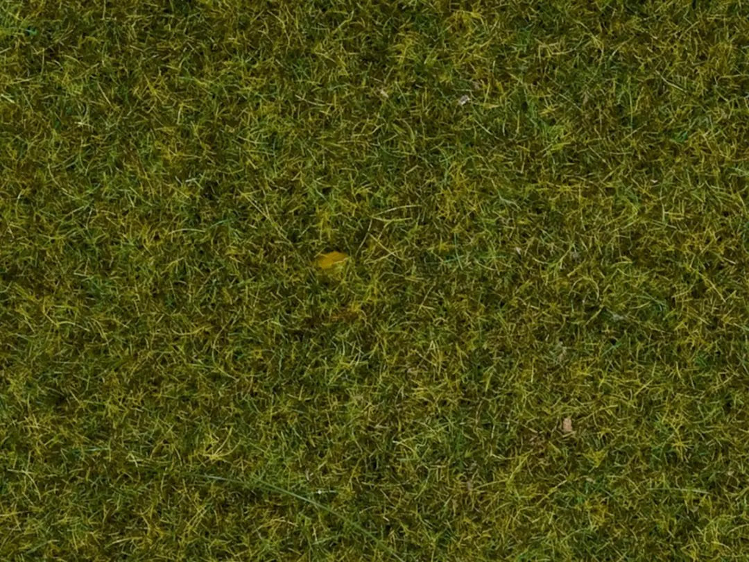 Noch Speelgoed Streugras Wiese Landschapsbouw 100g - Schaal 0