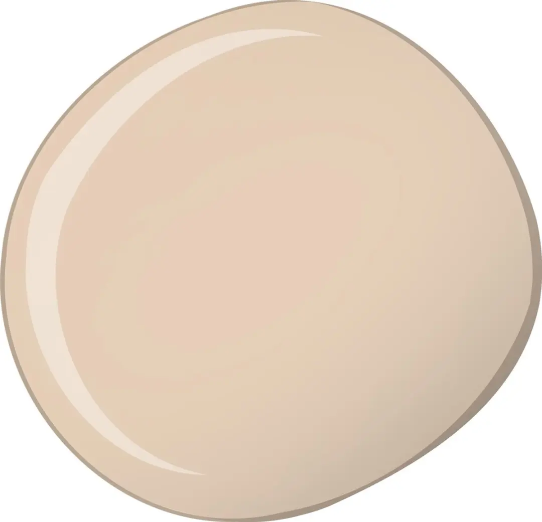 L'Oréal Paris True Match Fond de Teint NutriGold 160 Rose Beige