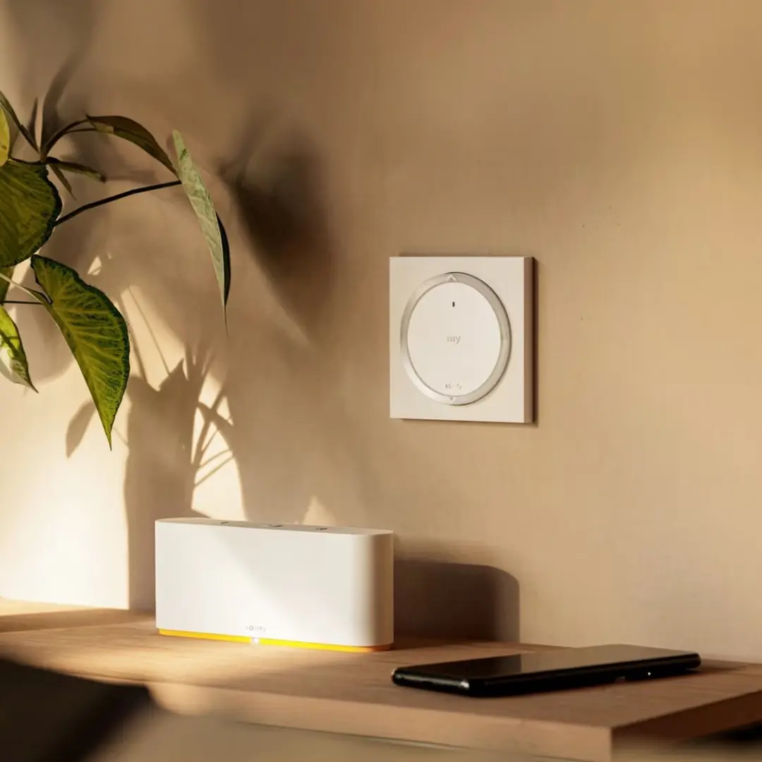 Somfy Amy 1 RS100 io Rolluikschakelaar - Wit