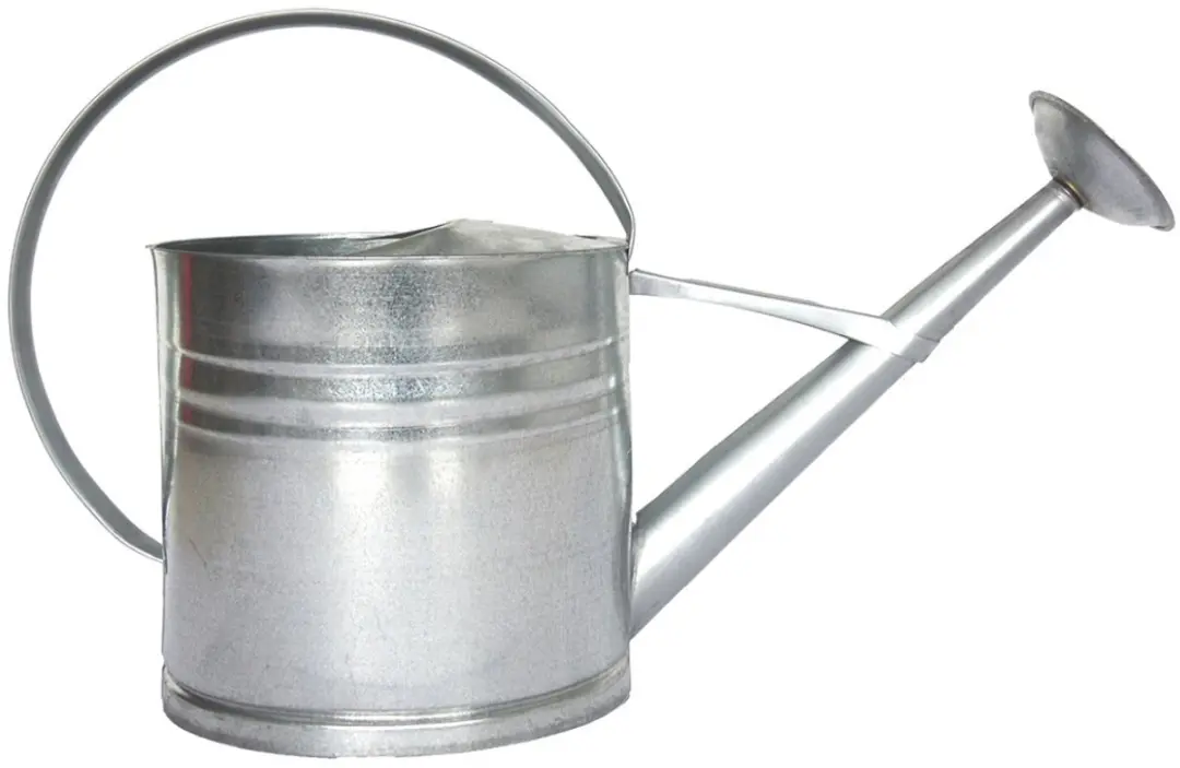 Esschert Design Metalen Gieter 10L