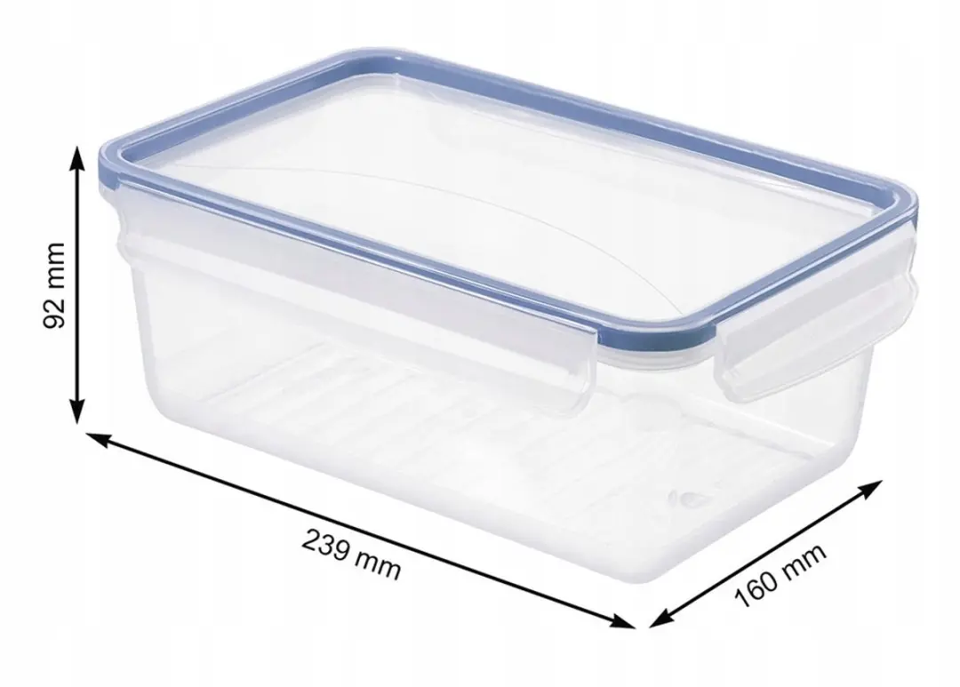 Rotho CLIC & LOCK Vershoudbakje 2L - Transparant/Blauw
