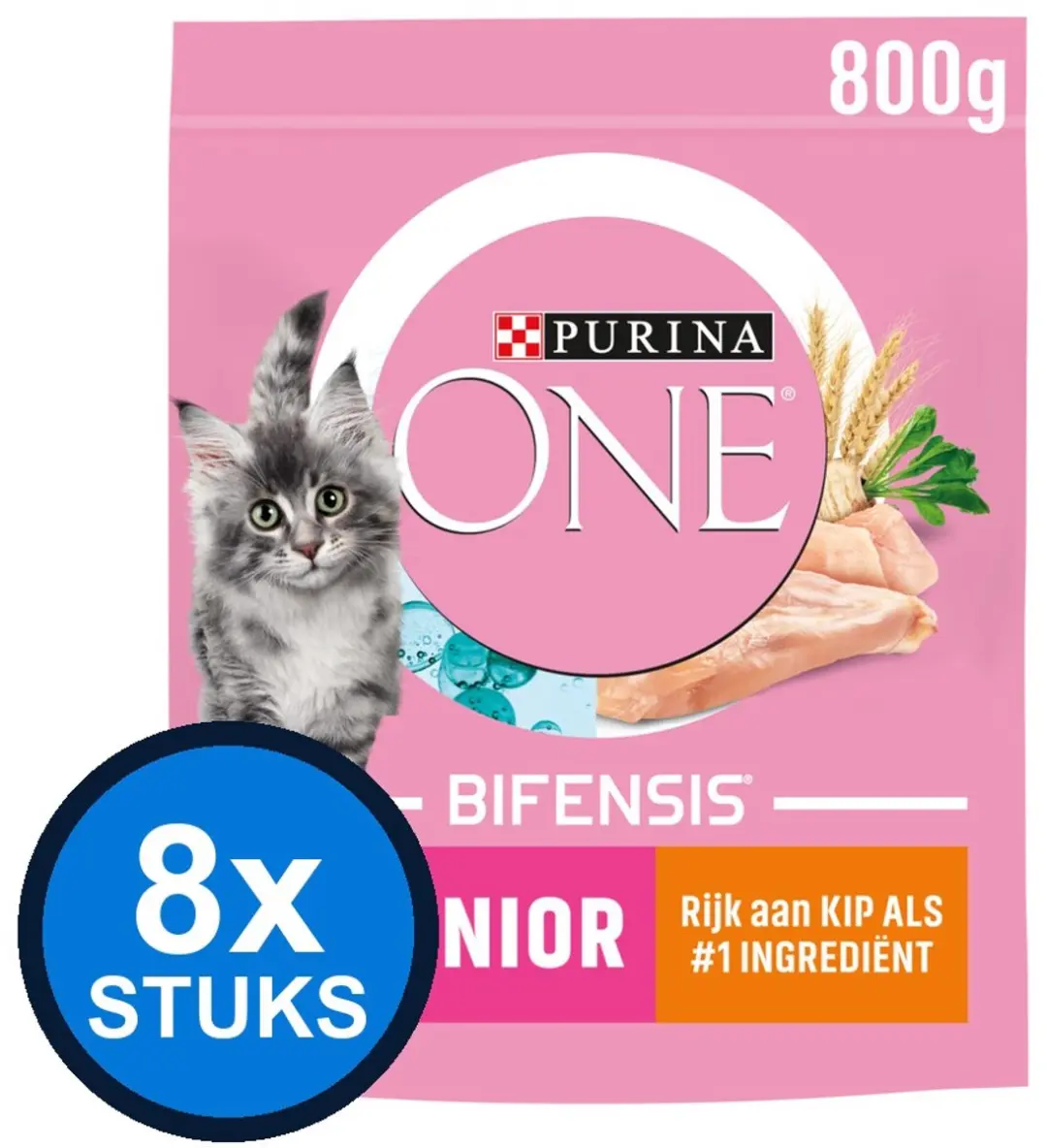 Purina ONE Junior Kattenvoer Kip 8x800g