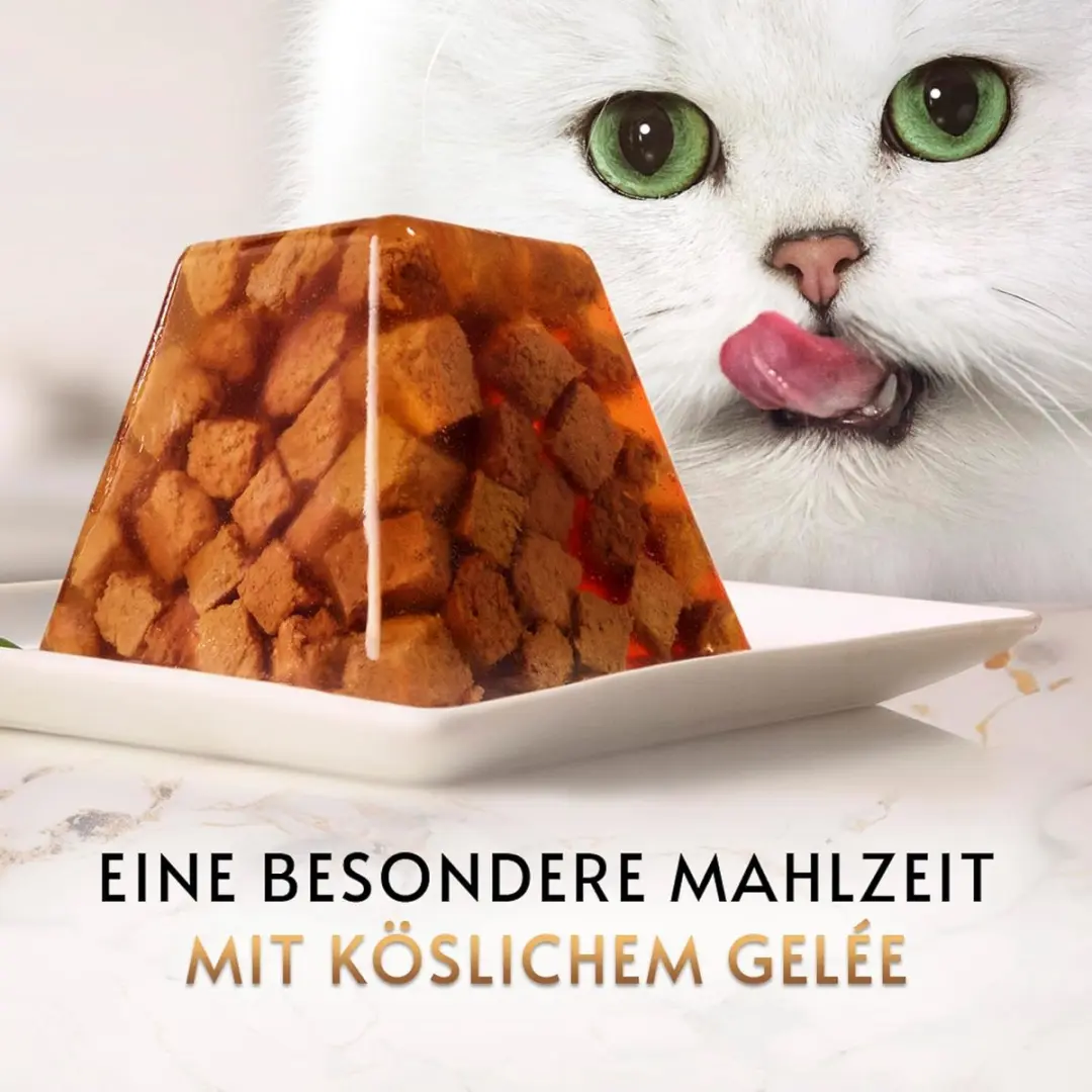 Purina Gourmet Revelations Fine Cuts Zalm - 228g (4x57g)