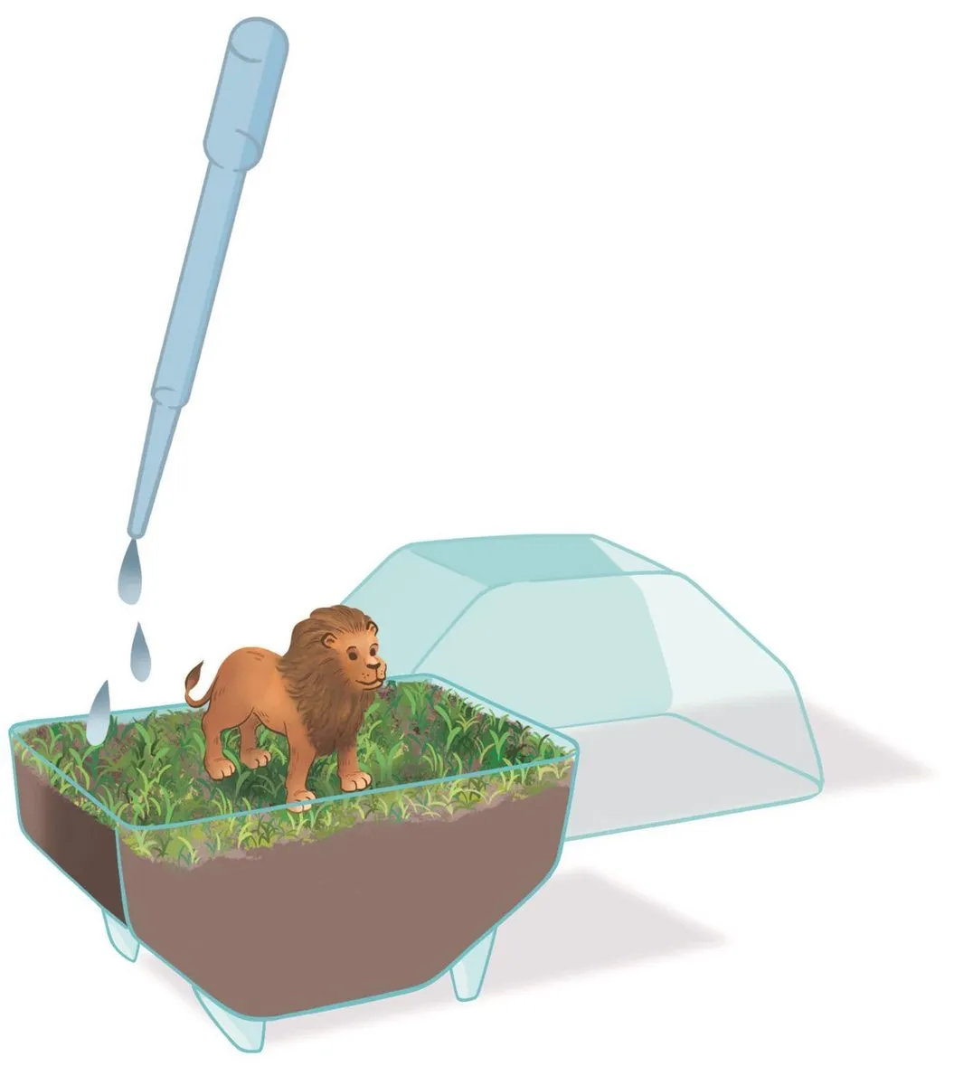Clementoni Mini-terrarium Leeuw