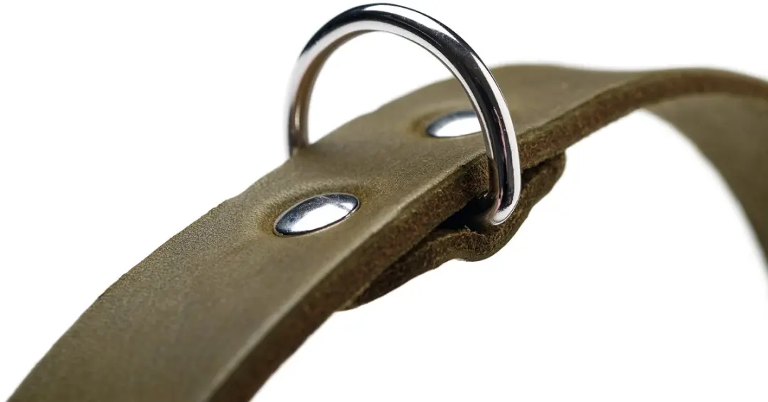 Hunter Hondenhalsband Aalborg Olijf - Maat 32 (24-29 cm)
