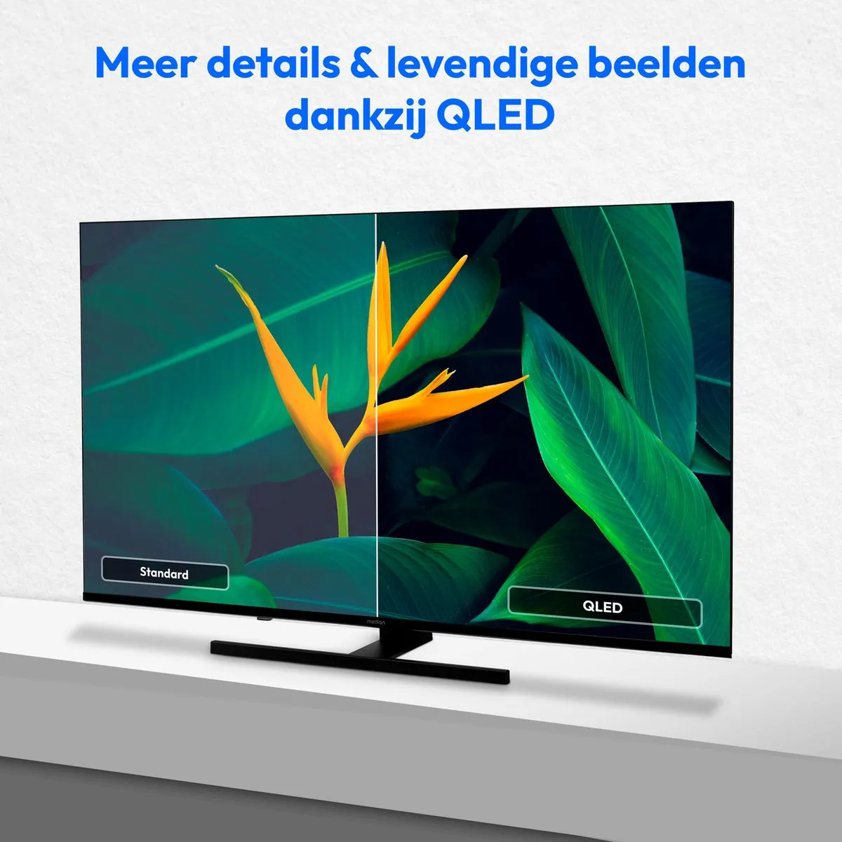 Medion 108cm QLED TV MD 843600 - 43" - Zwart