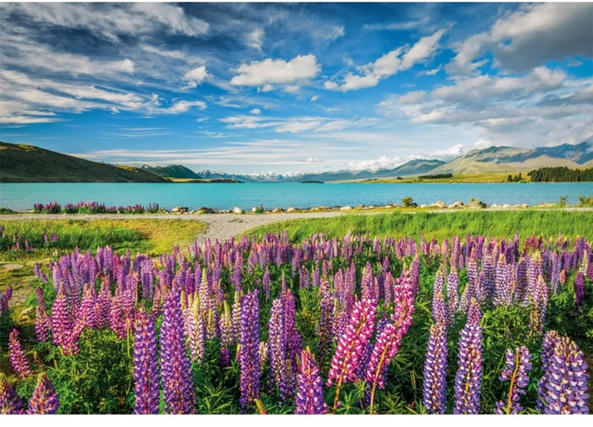Clementoni Lupins aan het Tekapo Meer Puzzel 1500 Stuks - Multikleur - afbeelding 6 van 6