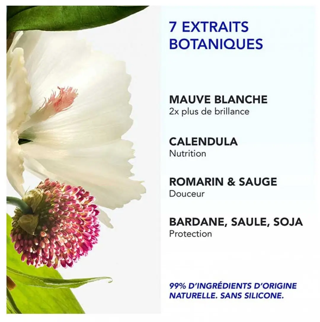 Phyto 7 Elixir Universele Dagcrème 50ml
