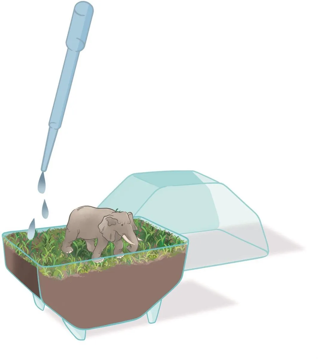 Clementoni Mini-Terrarium Olifant