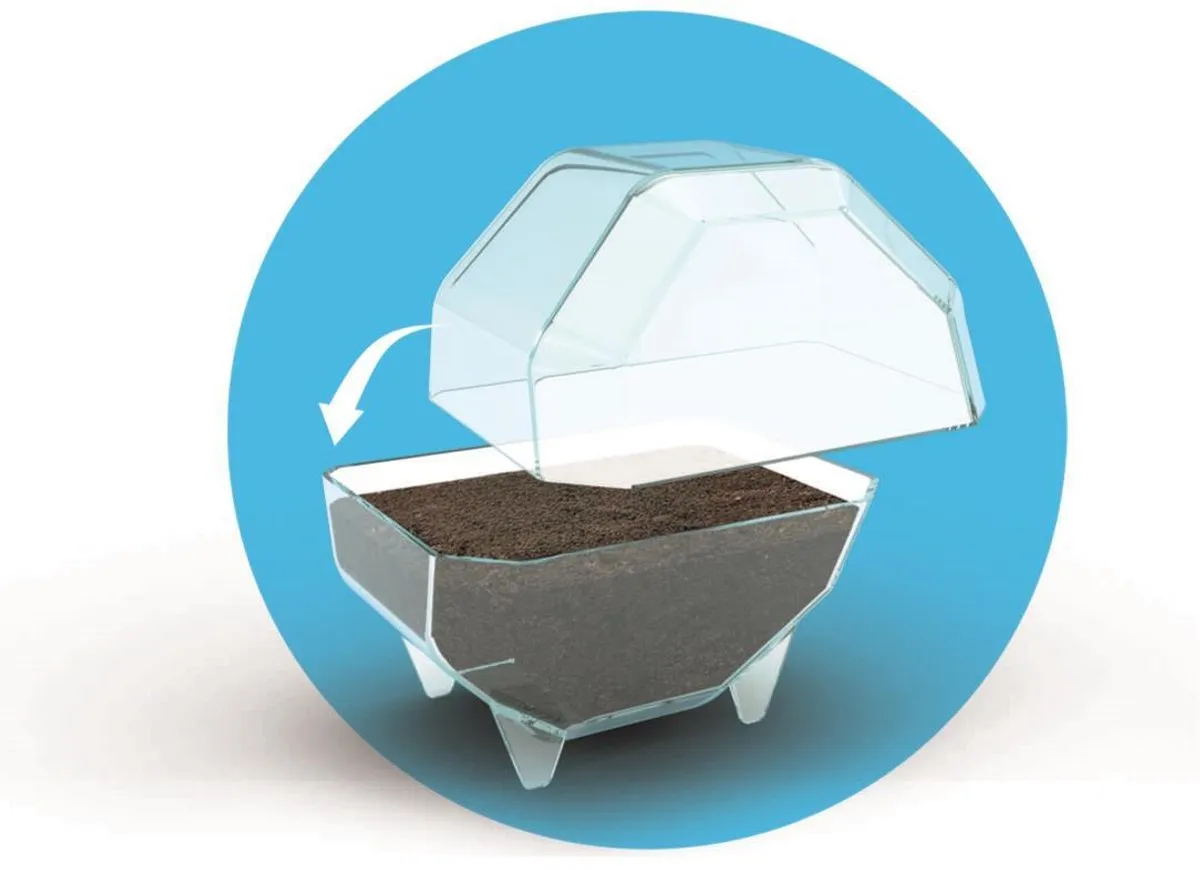 Clementoni Mini-Terrarium Olifant - afbeelding 6 van 6