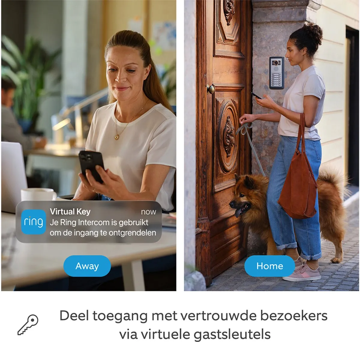 Ring Intercom Video - Wit
