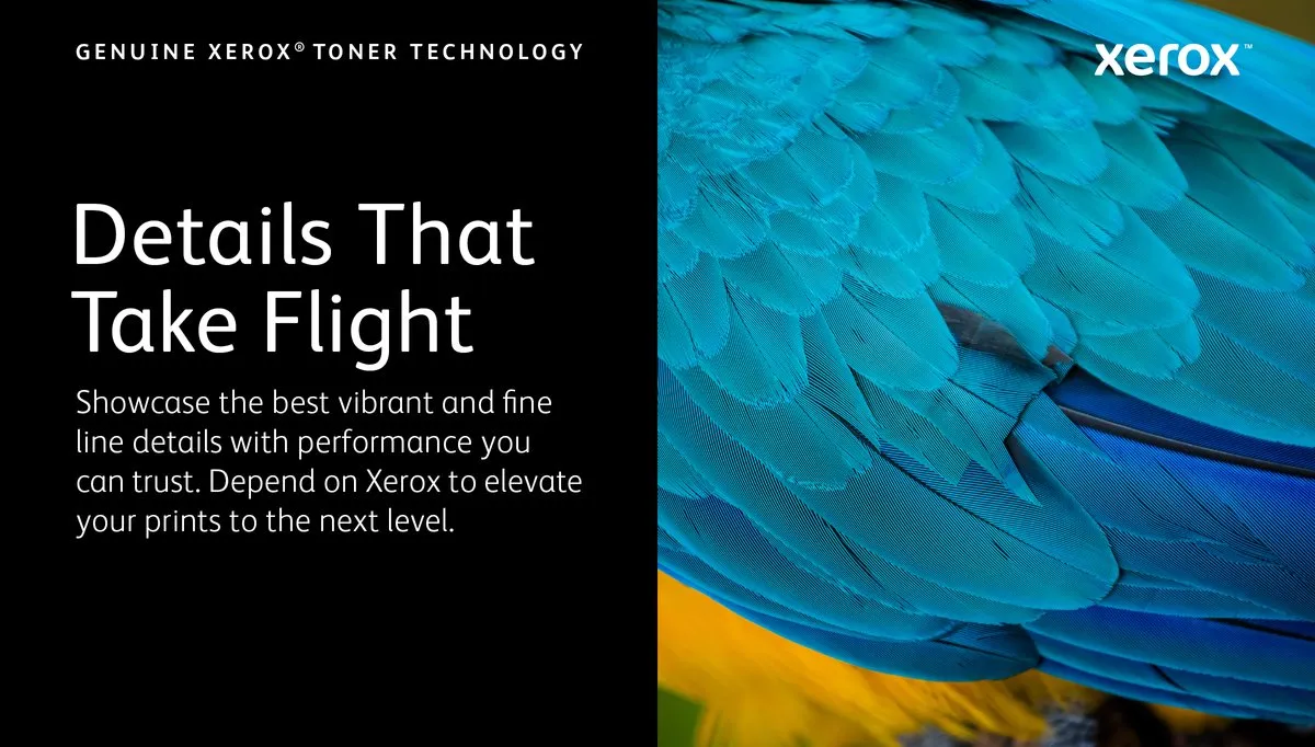 Original Toner Xerox 006R04378 Black