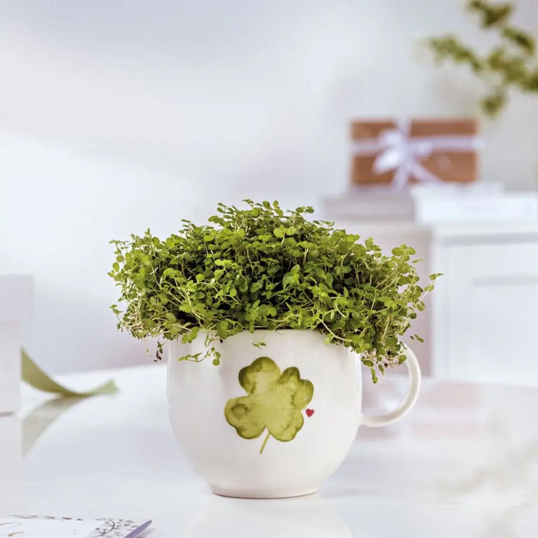 Villeroy & Boch With Love Mokken - 6 Stuks Wit