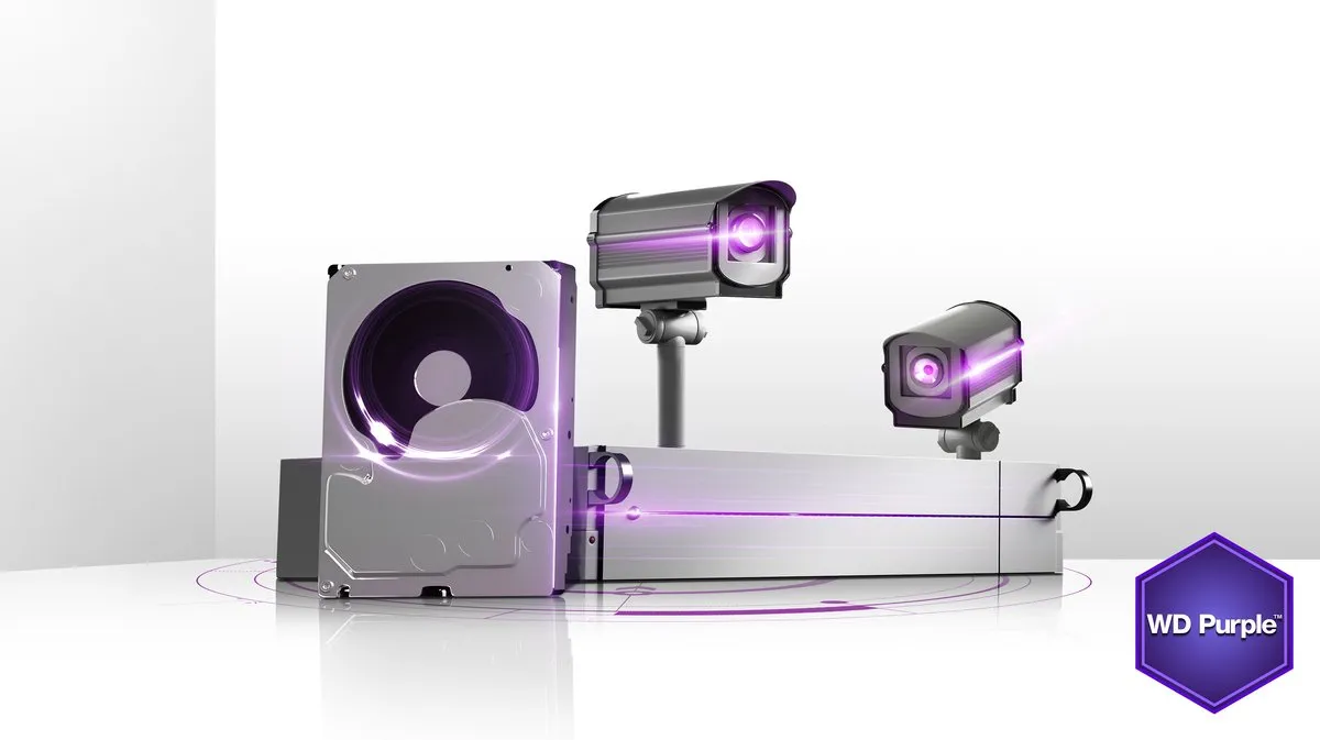 Western Digital Purple WD20PURX Interne Harde Schijf 2TB