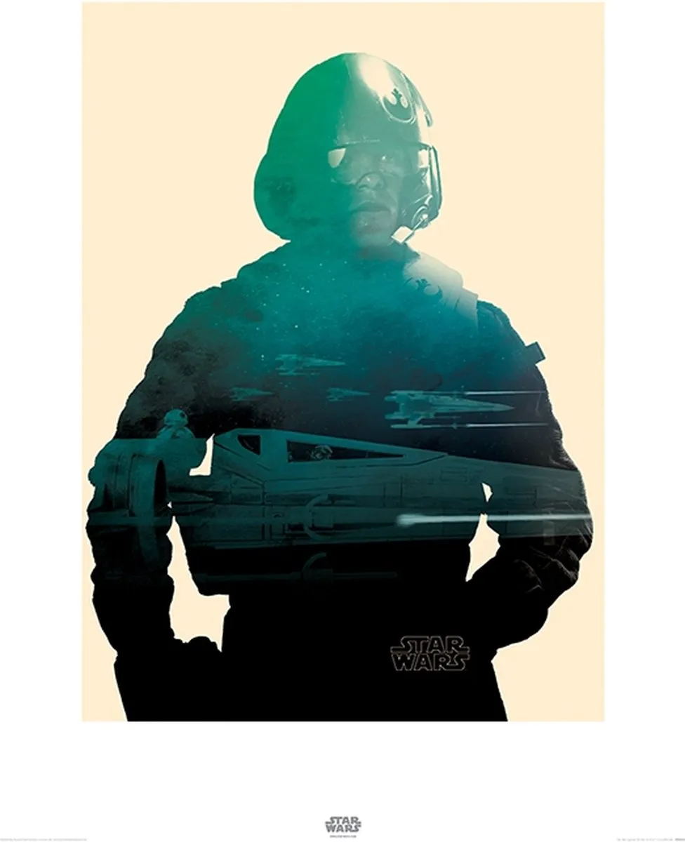 Star Wars Episode VII Poe Triptiek Poster 60x80cm