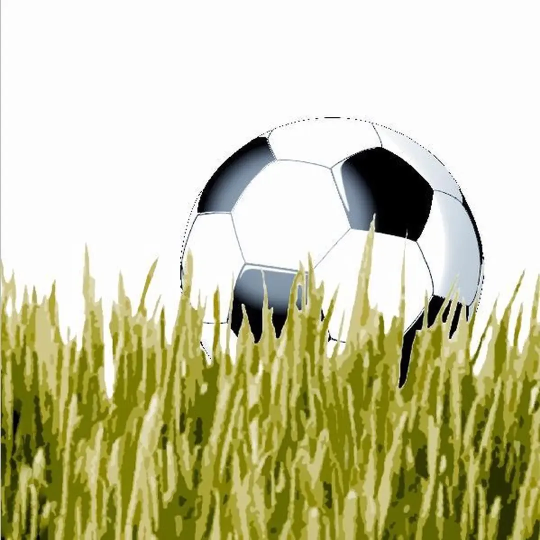 Duni Voetbal Servetten