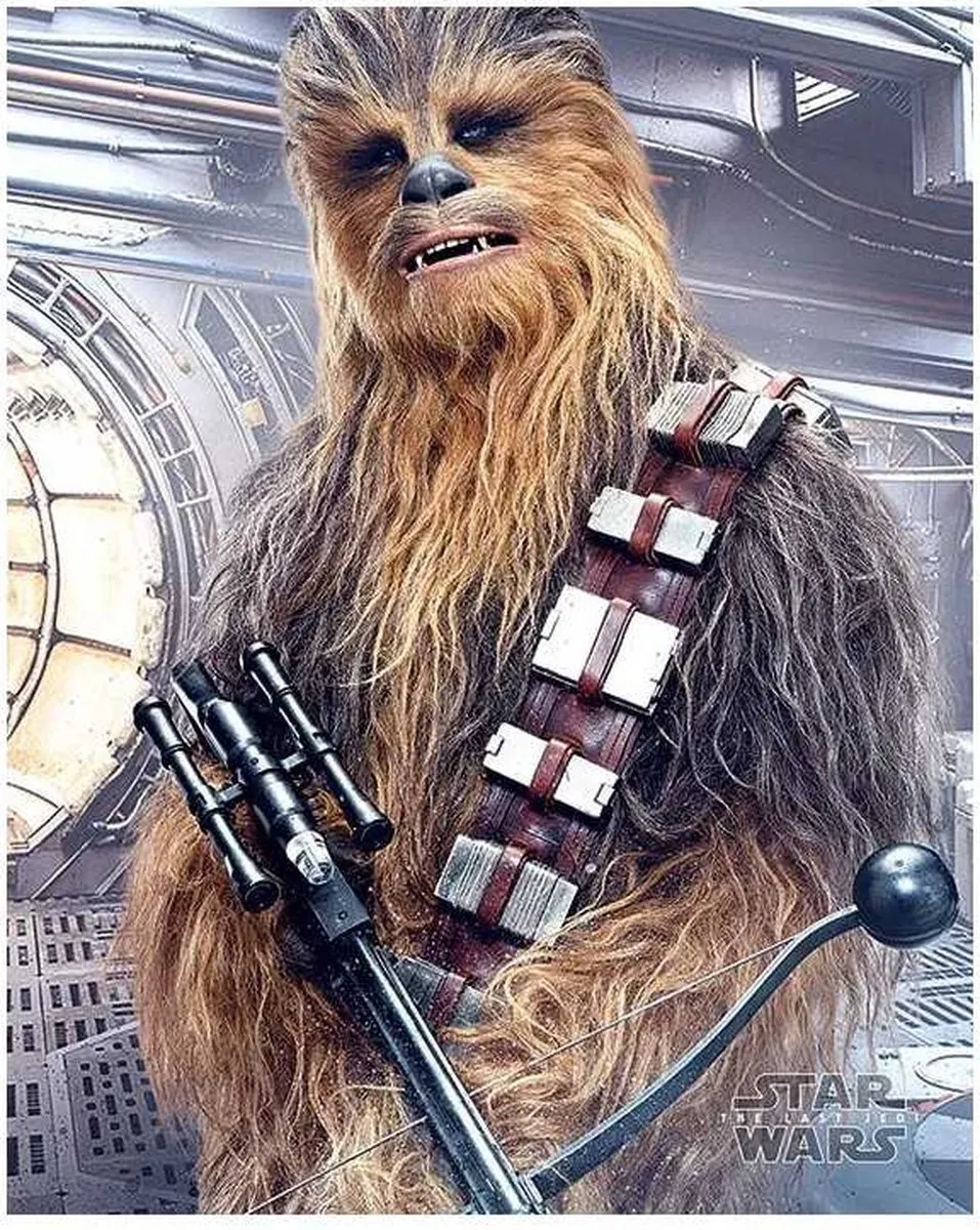 Star Wars Chewbacca Bowcaster Poster 40x50cm - Multicolor