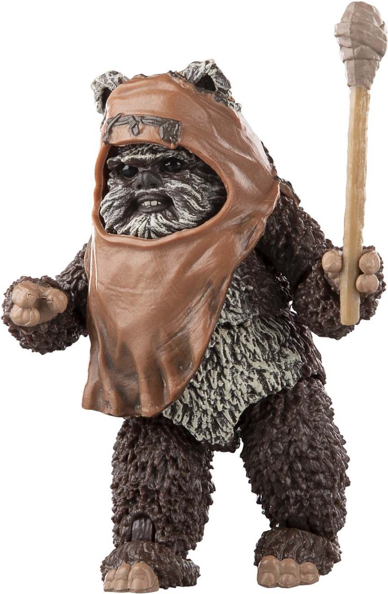 Hasbro Star Wars - Episode VI Black Series Wicket 15 cm Actiefiguur - Multicolours