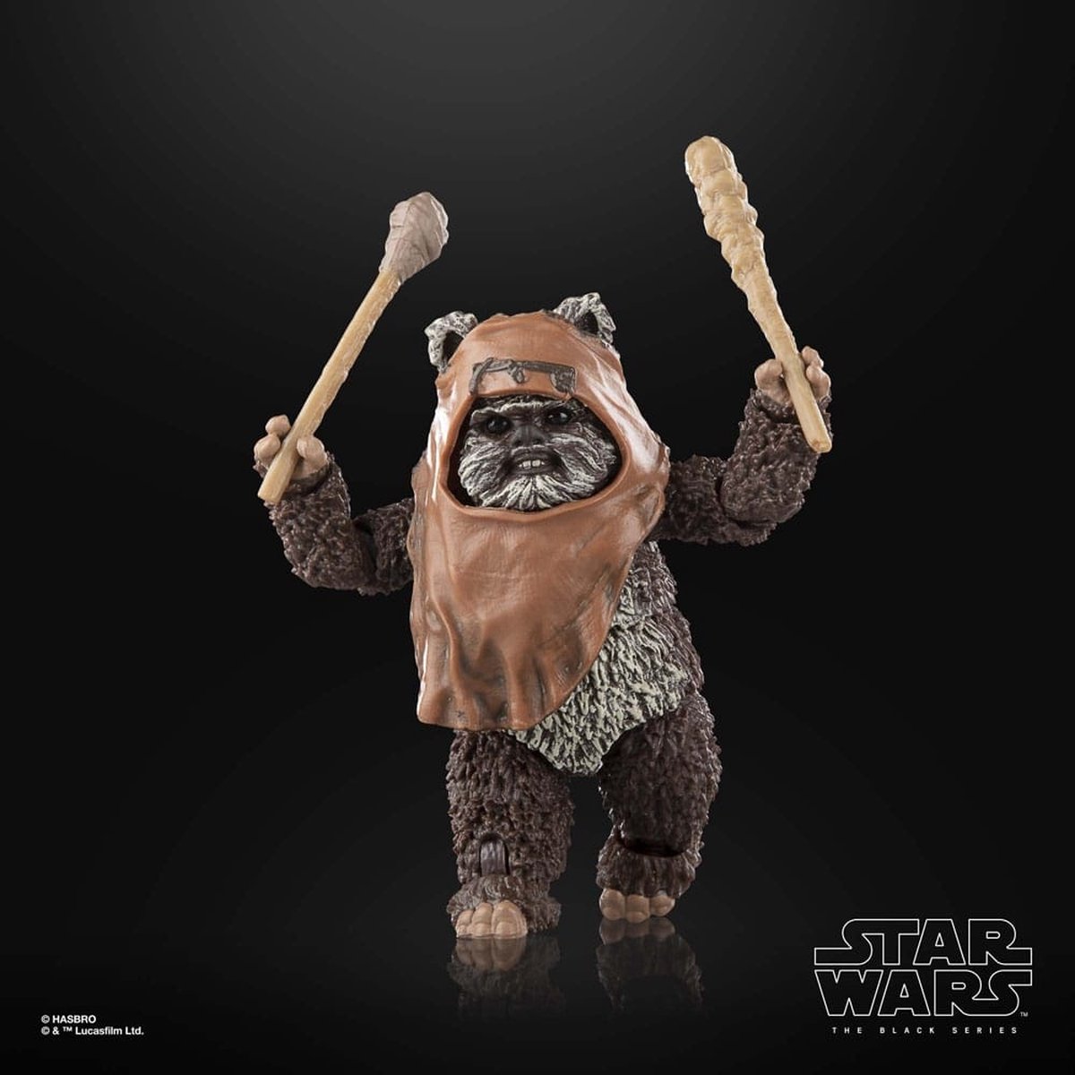 Hasbro Star Wars - Episode VI Black Series Wicket 15 cm Actiefiguur - Multicolours