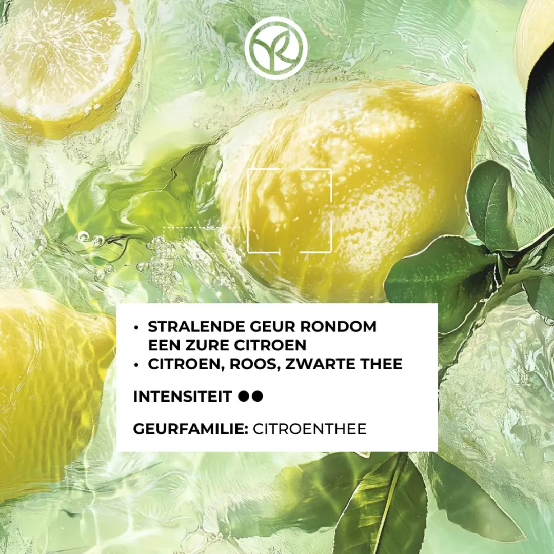 Yves Rocher Verte Envolée Damesparfum Eau de Parfum 100ml - Citroen Roos Zwarte Thee