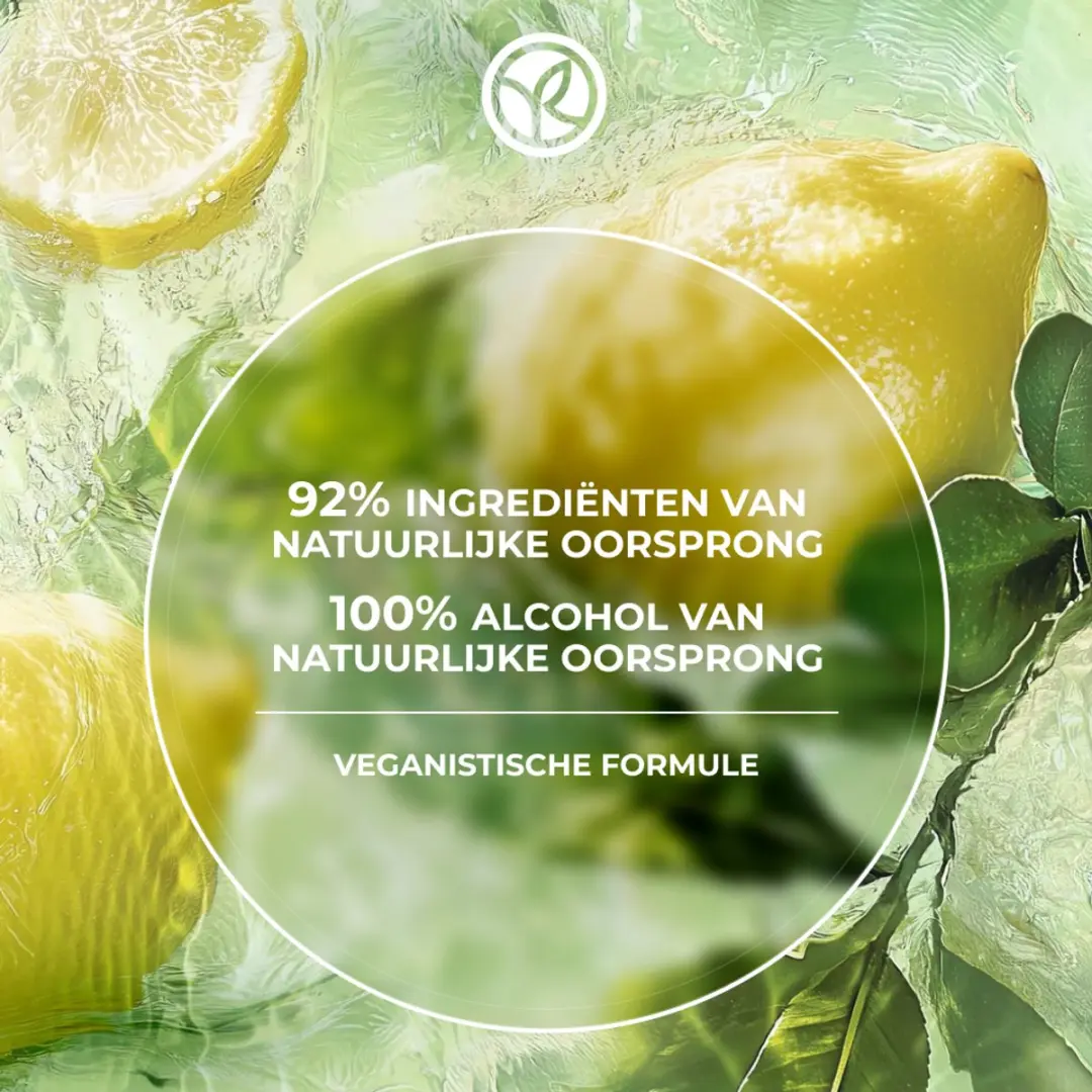 Yves Rocher Verte Envolée Damesparfum Eau de Parfum 100ml - Citroen Roos Zwarte Thee