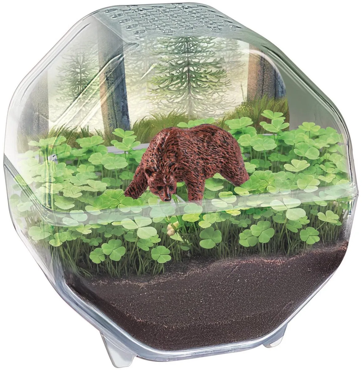 Clementoni Mini-Terrarium Beer - afbeelding 2 van 6