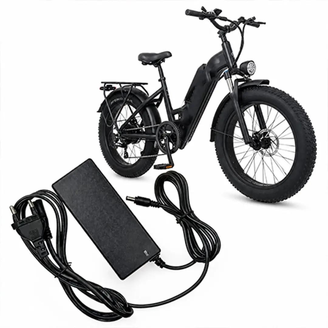 RedParrot Fatbike Accu Oplader 36V