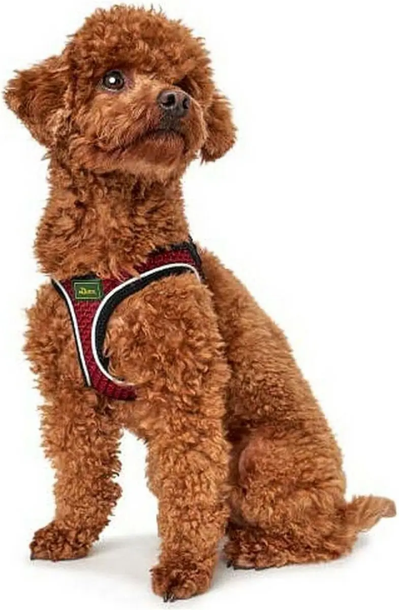 Hondentuigje Hunter Hilo-Comfort Rood M/L (58-63 cm)