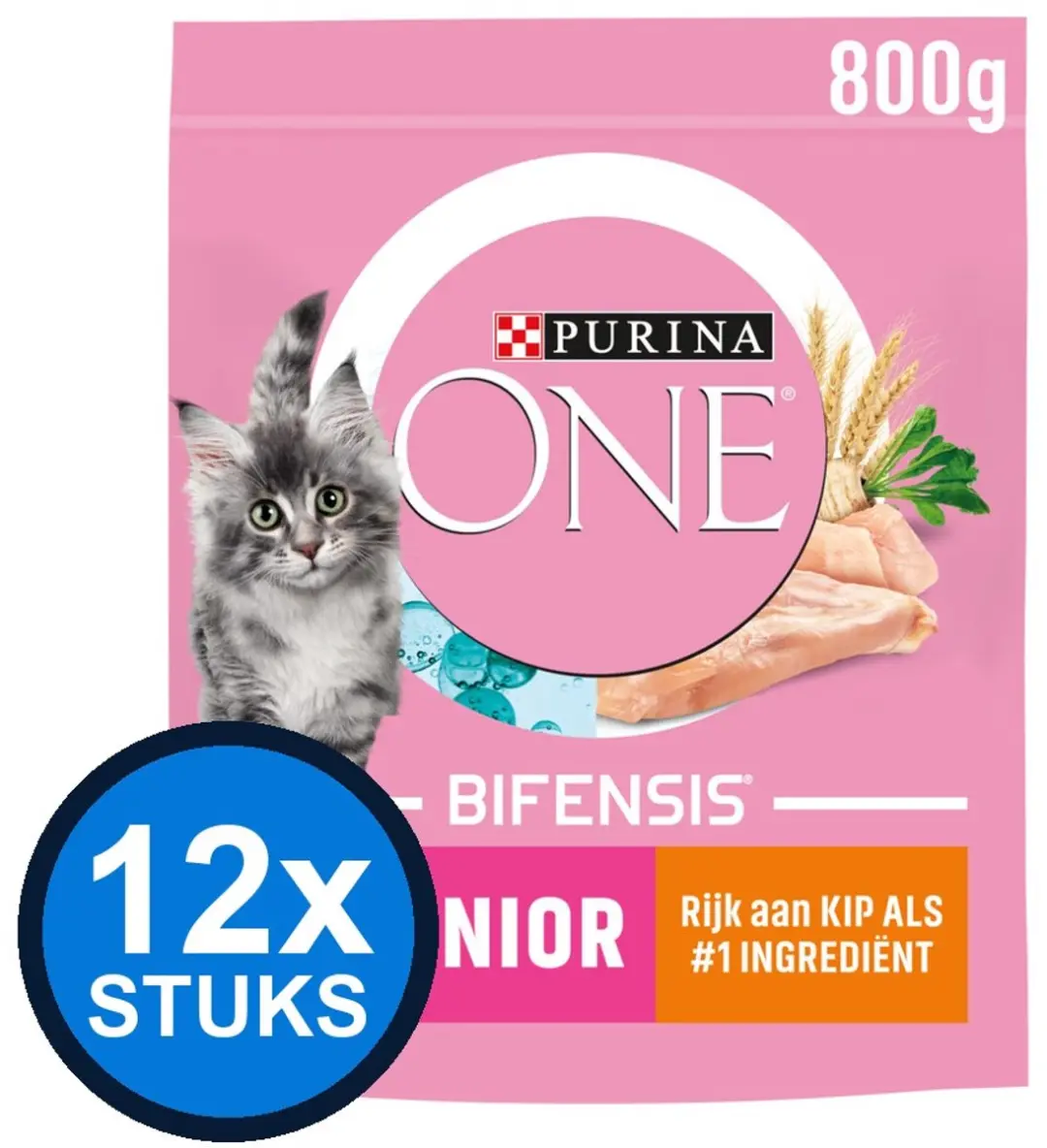 12x Purina ONE Junior