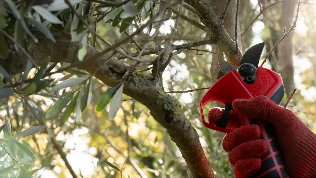 Felco 2e Elektrische Snoeischaar - 10,8V Accu 3.0Ah