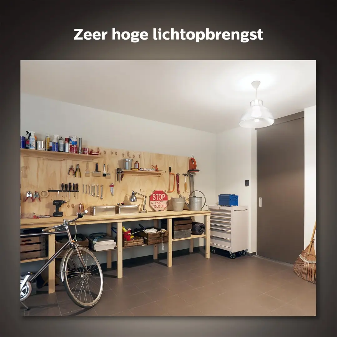 Philips Hue White E27 LED - 15,5W - Mat