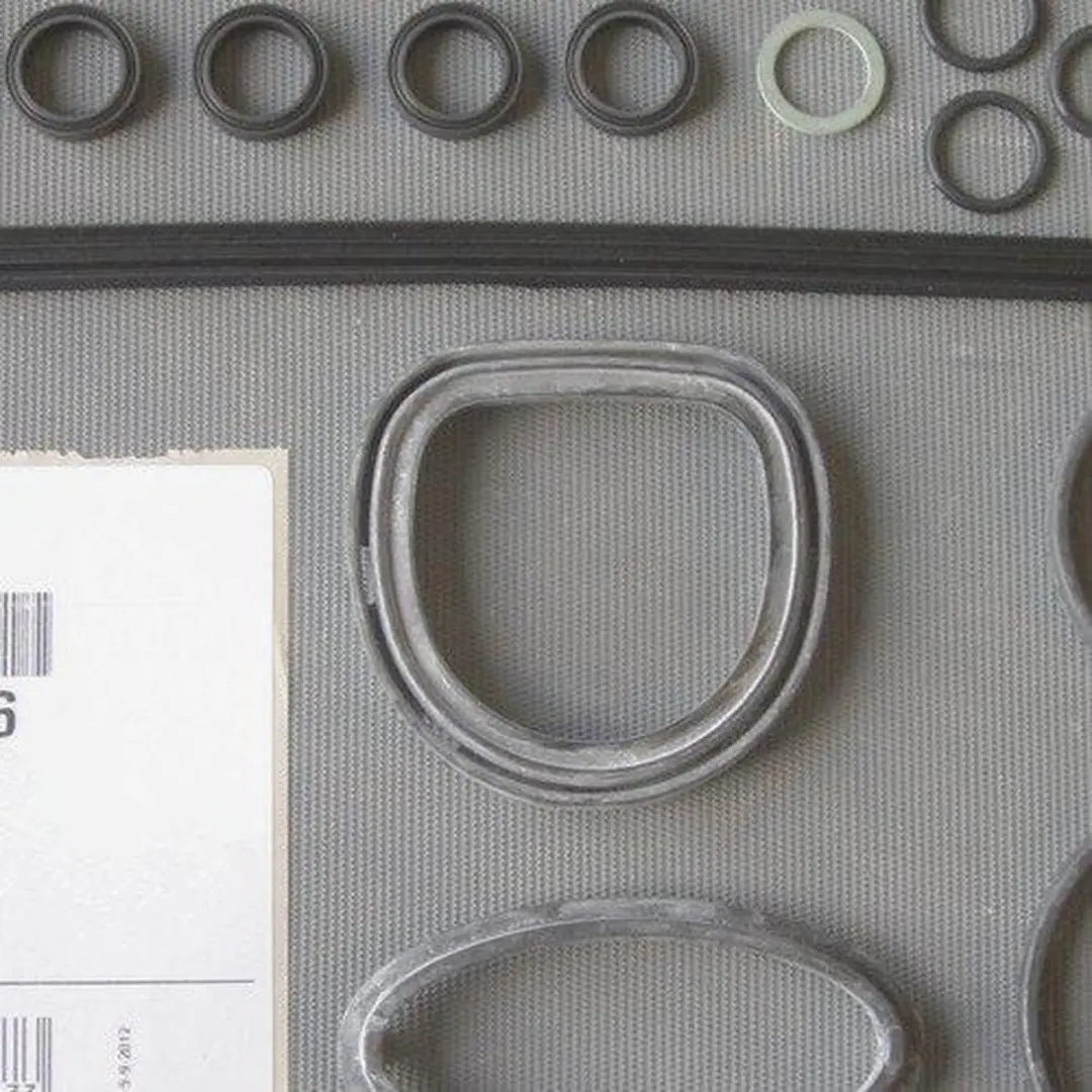 Remeha S101756 Pakking- en Afdichtingsset Tzerra