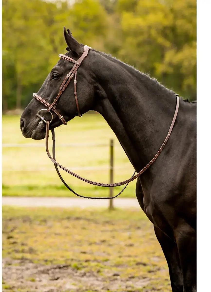 Trust Kentucky Ruiterbit - Cob - Bruin/Zilver