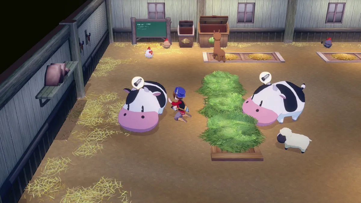 Story of Seasons: Grand Bazaar - PS5