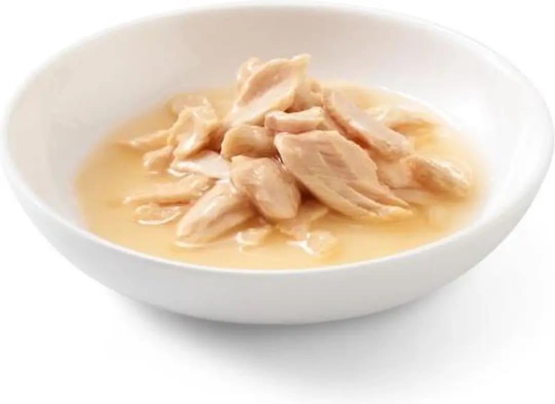 Schesir Kat Zalm Naturel 85g - 14 Stuks