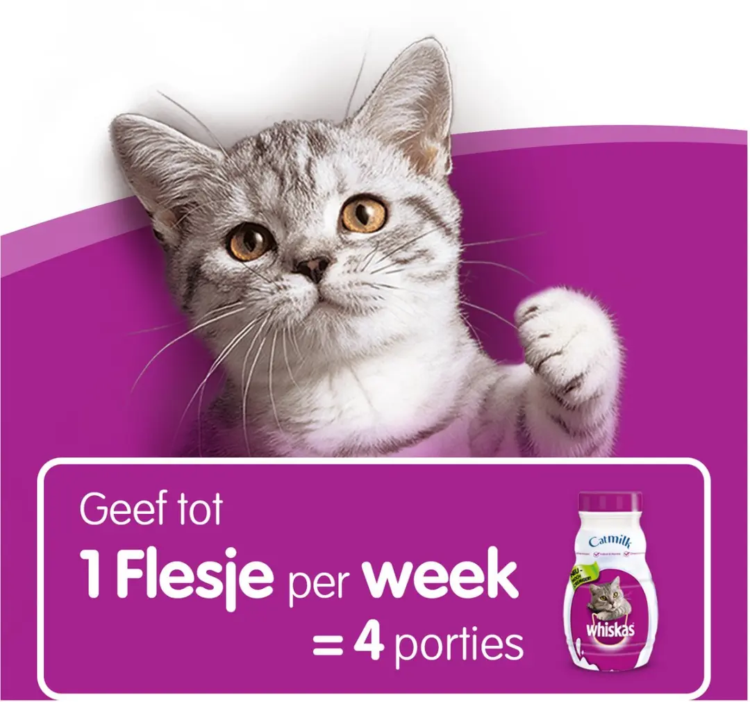 Whiskas Cat Milk 200ml