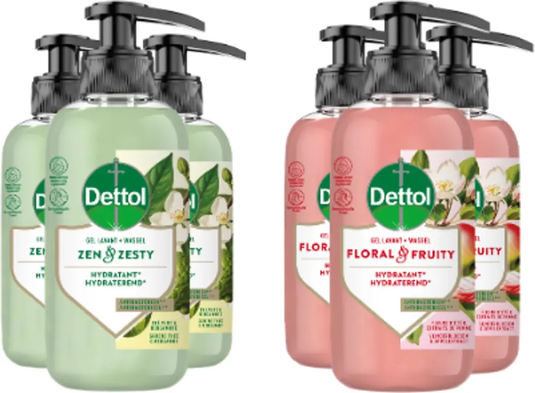 Dettol Handzeep Voordeelverpakking 6x300ml - Zen/Zesty/Floral/Fruity