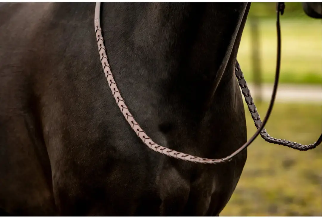 Trust Hunter Gevlochten Teugels Pony - Bruin/Zilver