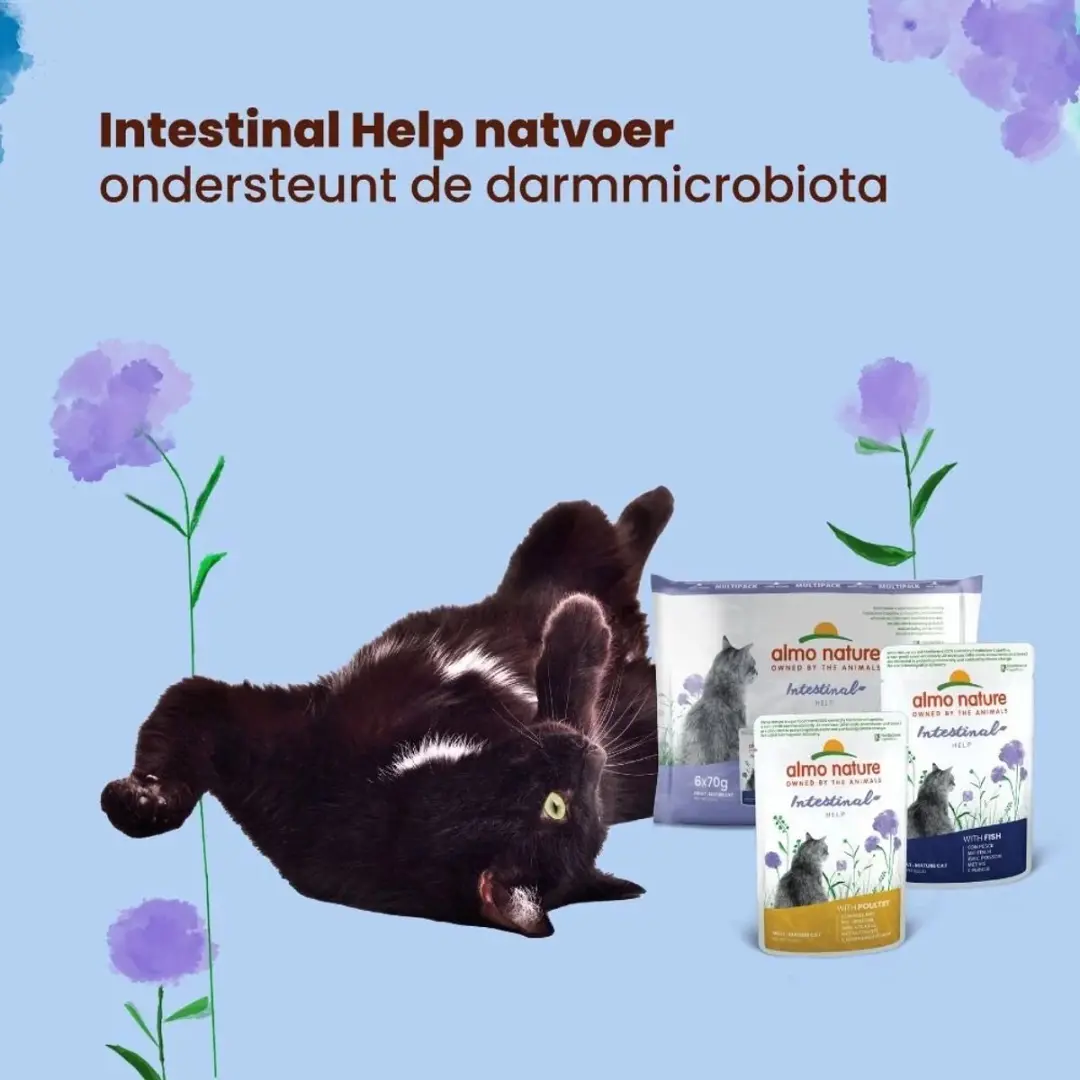 Almo Nature Functional Sensitive Natvoer Kat 70g