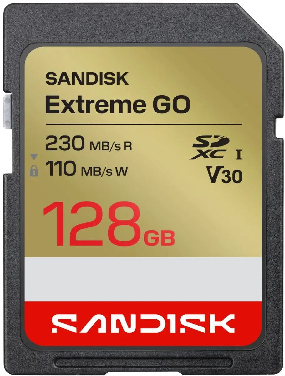 SanDisk SDXC Extreme GO 128GB