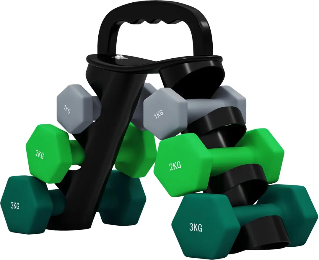 ECTEATOY Dumbbellset 12kg
