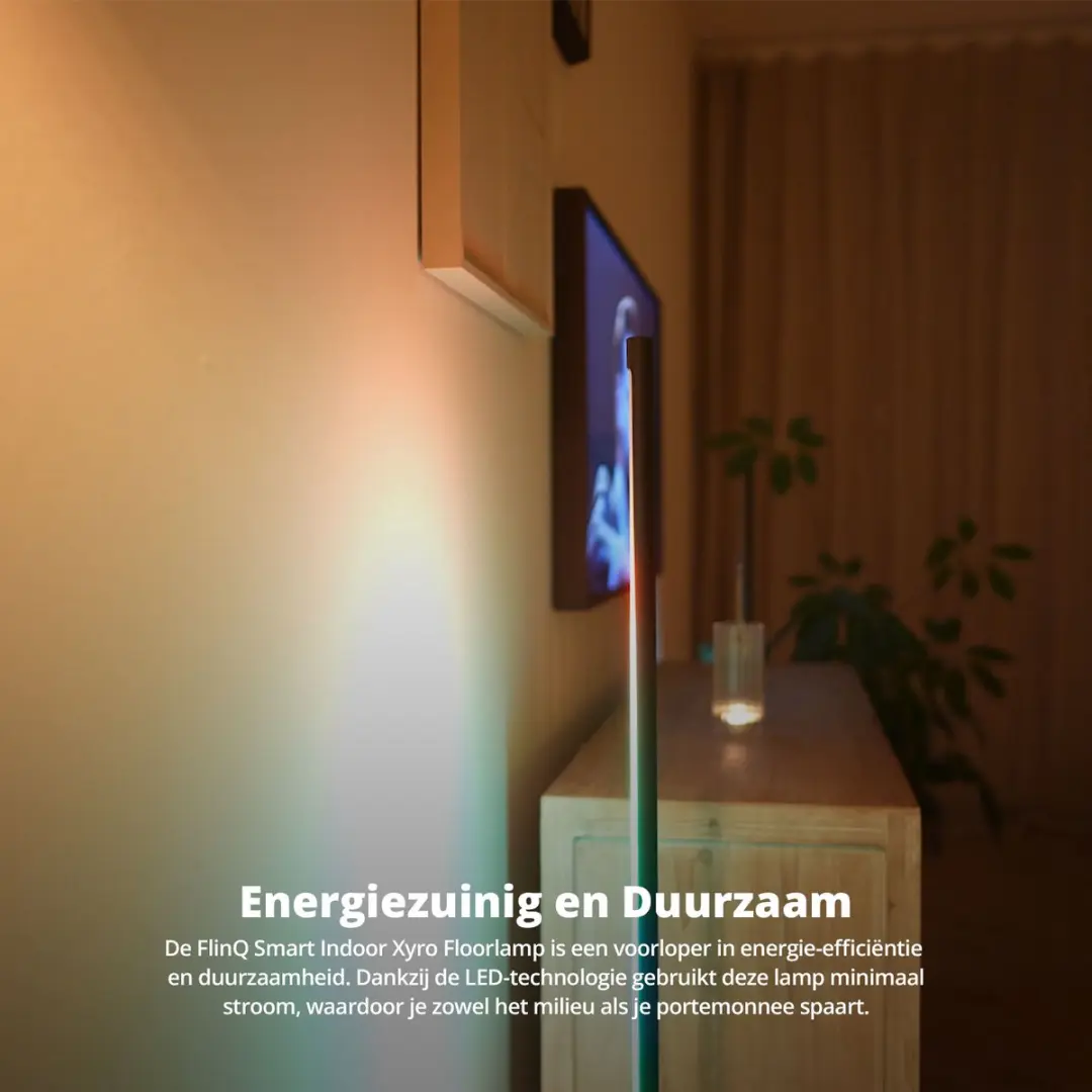 FlinQ Xyro LED Slimme Vloerlamp - RGB - Zwart