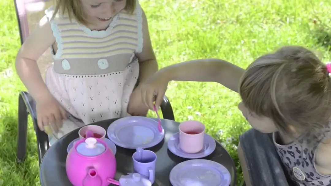 Dantoy Servies Roze - 17-delig